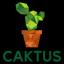 CaktusAI logo