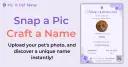 Pic A Pet Name logo