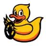 Duckietown.Org