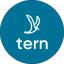 Tern logo