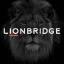 Lionbridge Technologies, Inc. logo