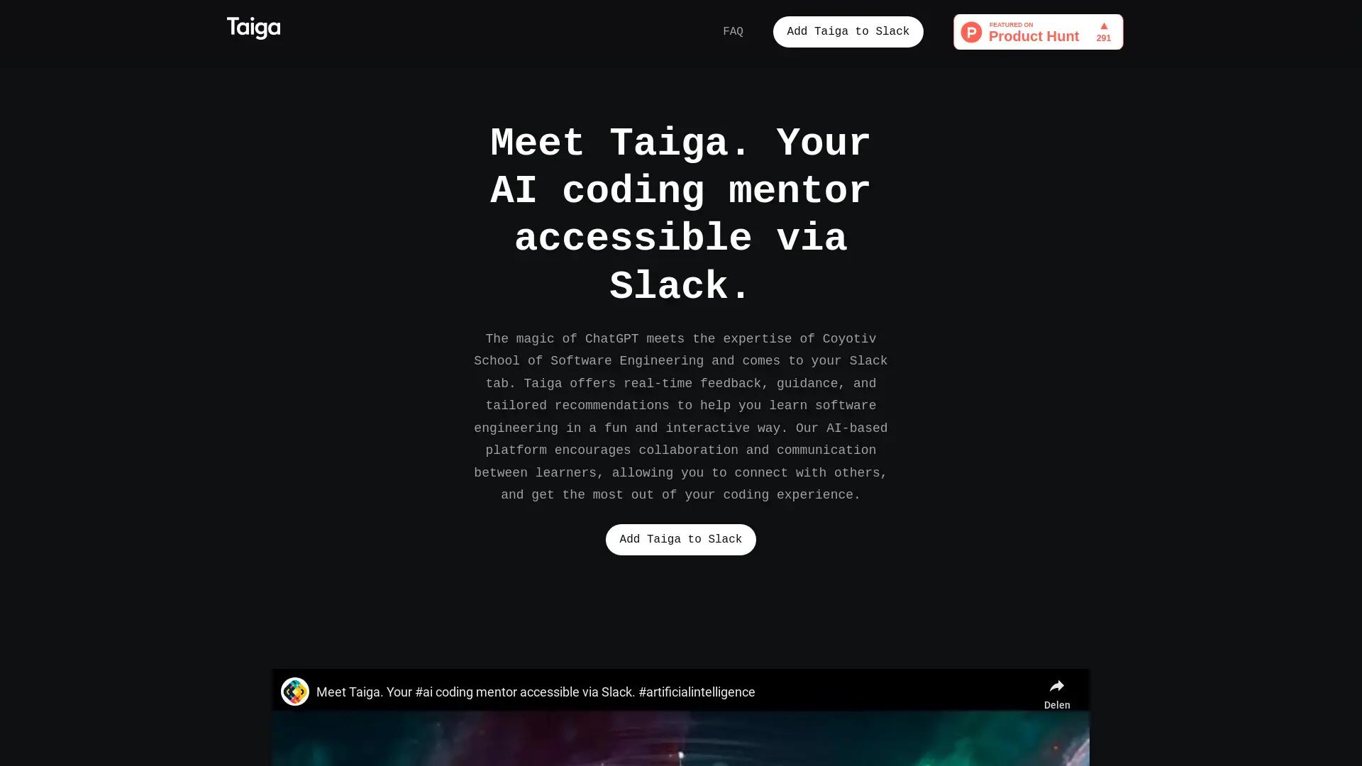 Taiga - AI coding mentor screenshot