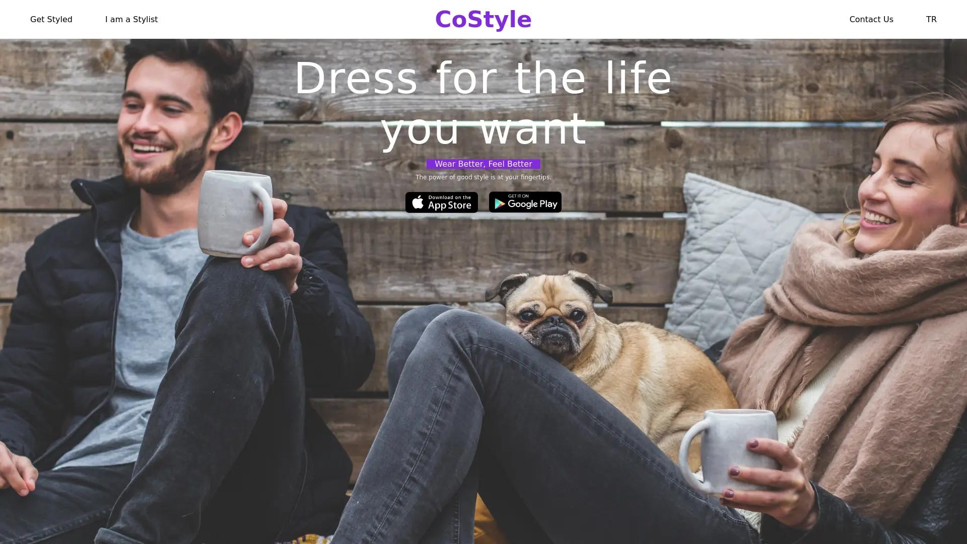 CoStyle screenshot