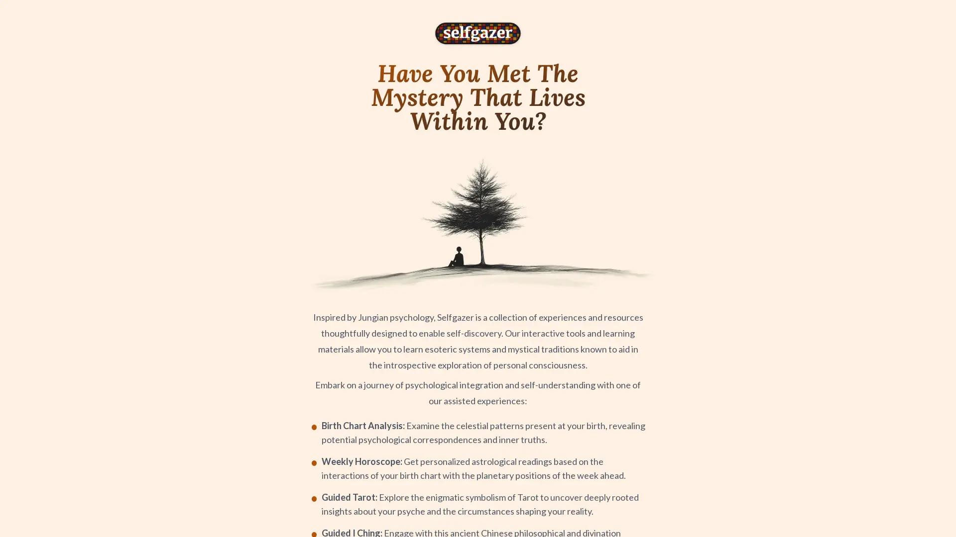 Selfgazer screenshot