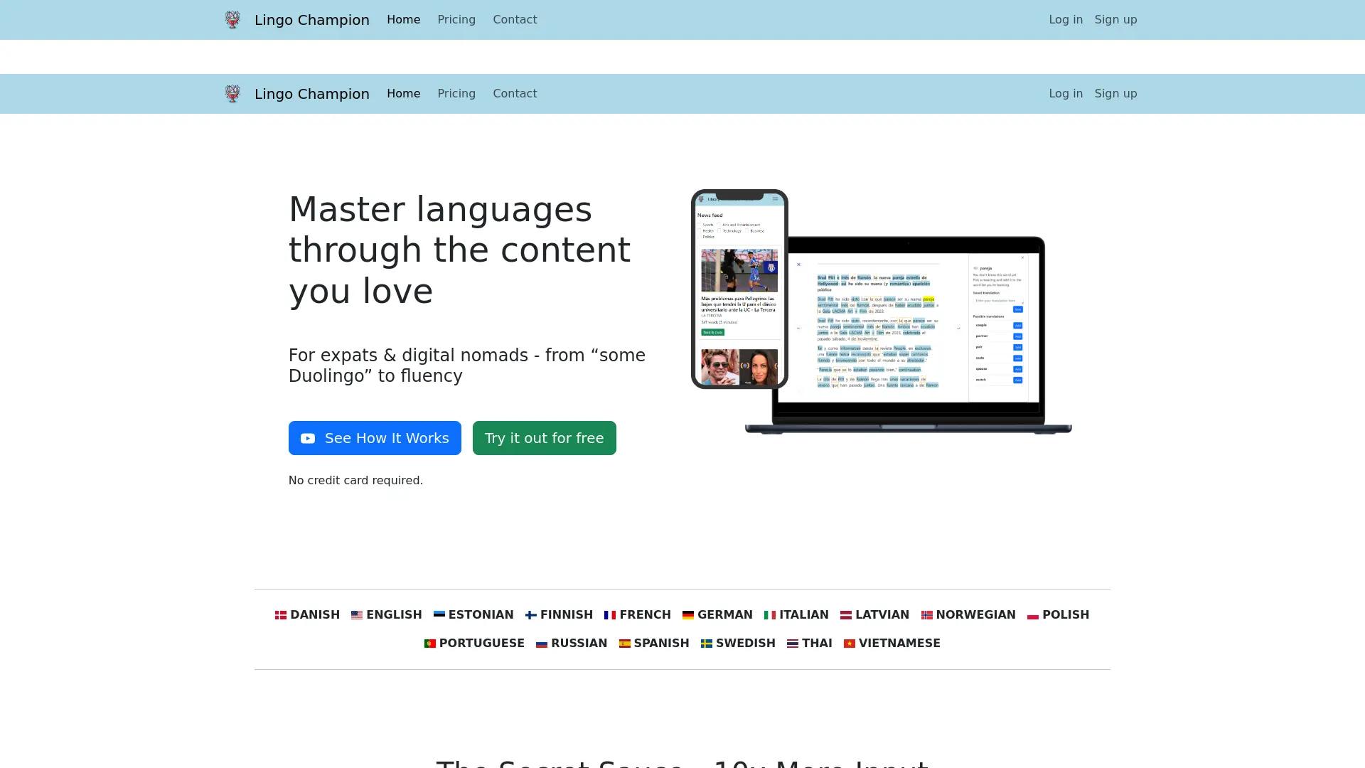 Lingo Champion screenshot