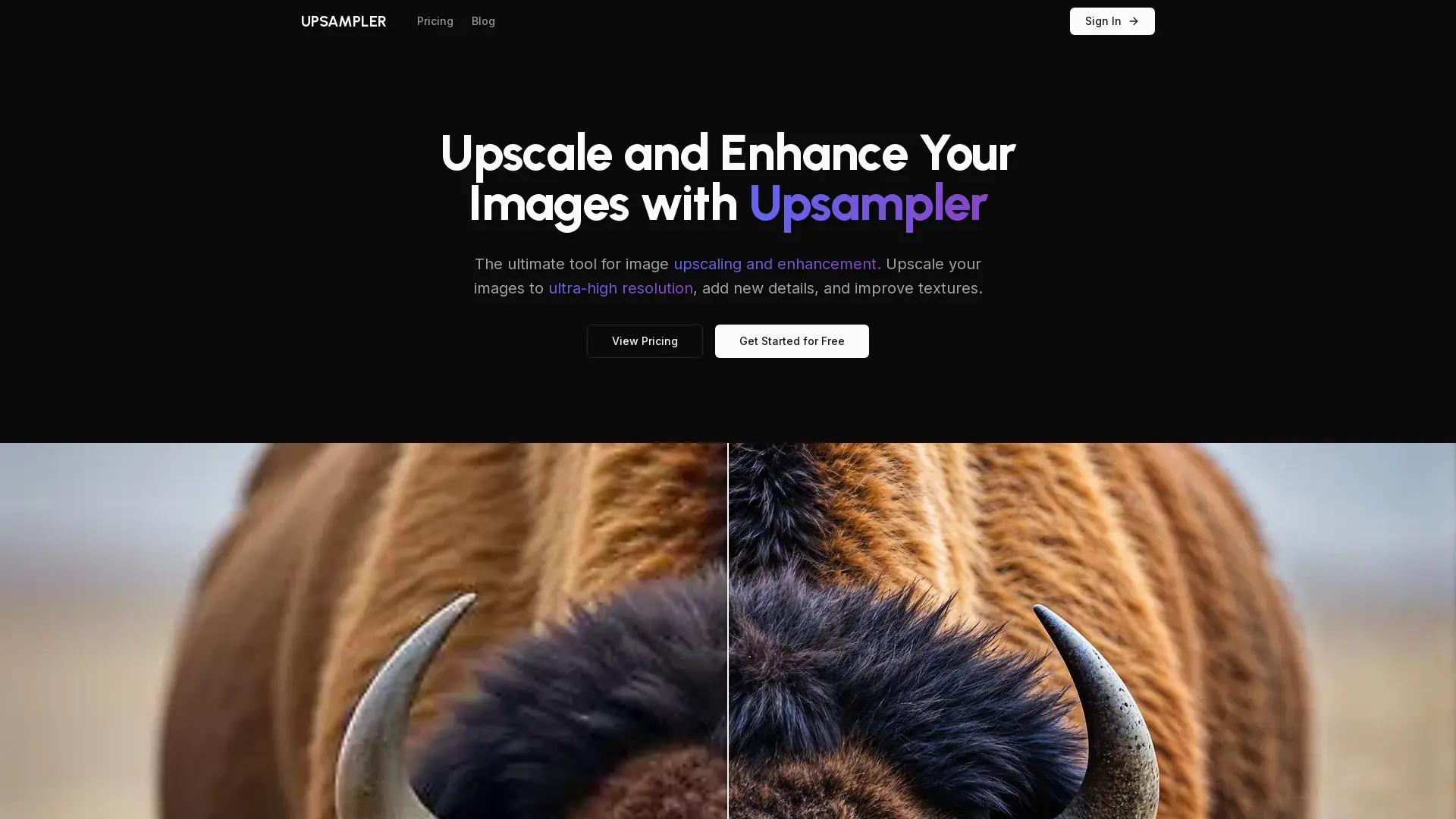 Upsampler screenshot