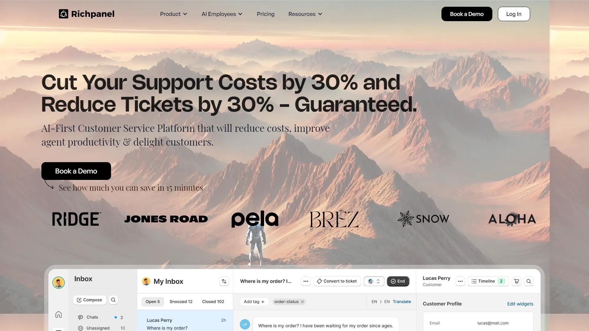 Richpanel screenshot