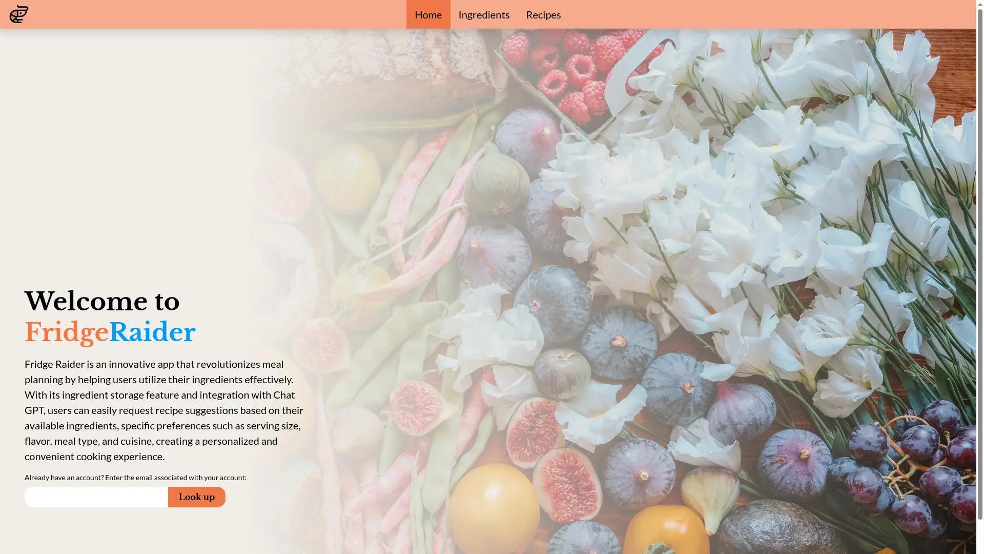 Fridgeraider screenshot