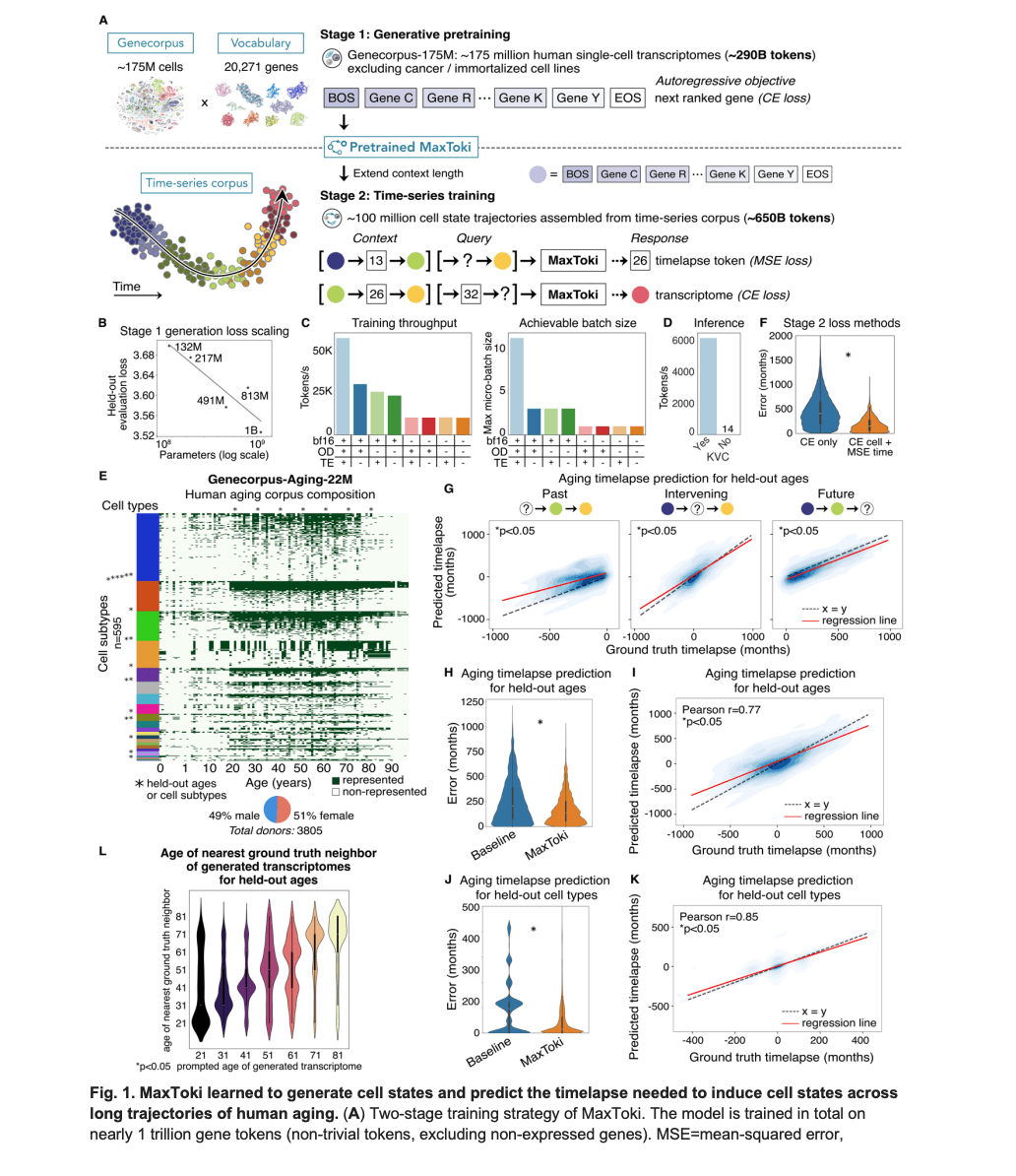 MaxToki Review: AI Predicts Cellular Aging
