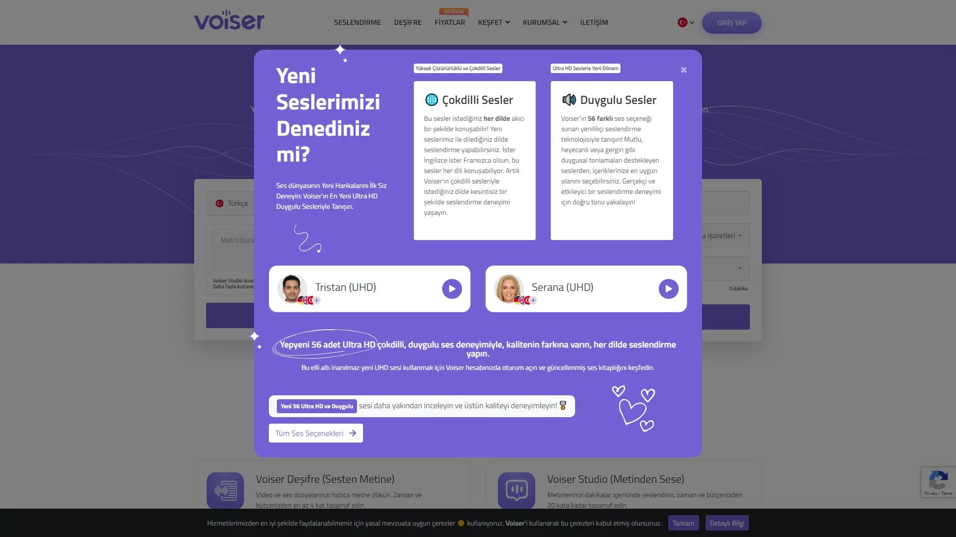 Voiser screenshot