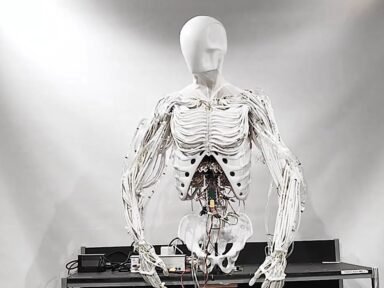 Clone Robotics’ Humanoid Torso: A Leap Toward Realistic AI-Powered Robotics