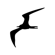 Tools Logo
